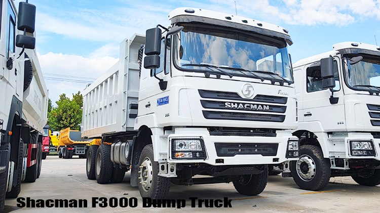 6x4 Shacman F3000 Dump Truck Price in Mali