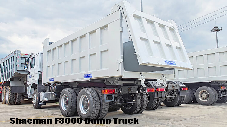 6x4 Shacman F3000 Dump Truck Price in Mali